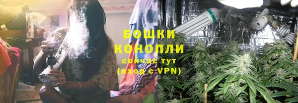 каннабис Аркадак