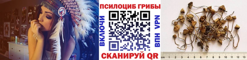 kraken как зайти где купить наркоту Артёмовск Псилоцибиновые грибы мухоморы